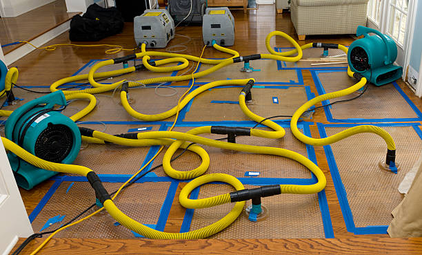 Professional Water Damage Repair technician working in Crowley, TX
